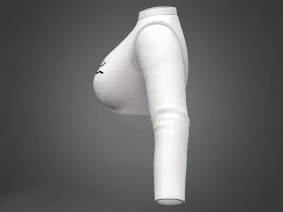 Long Sleeves Round Neck Crop Top Low-poly 3D model