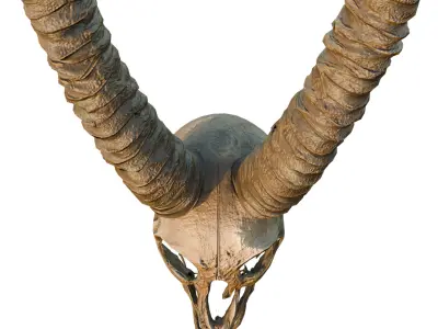 Big Horned wendigo head 3D model