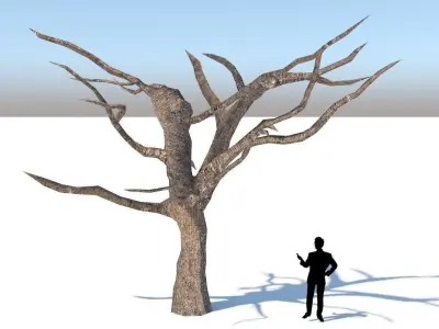 Tree Optimized Low-poly 3D model