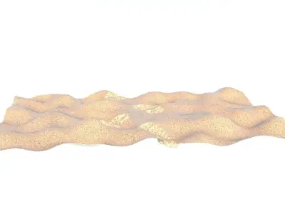 Shoeprints On The Sand 3D model