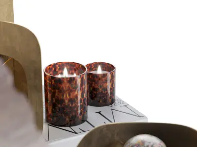 Decorative set with Tortoise Glass Candles 3D model