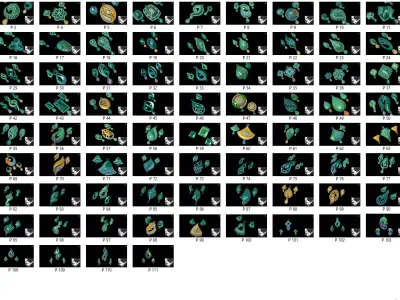 panden stone 3D print model