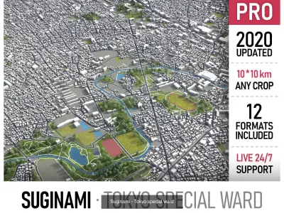 Tokyo Metropolis 3D Model Pack