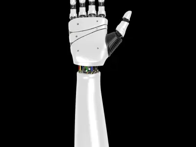 Robot Hand rigged  3D model