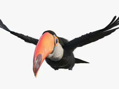  Tropical Toucan in Flight Fur for Maya 