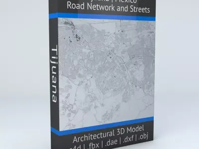 Tijuana Road Network and Streets 3D model