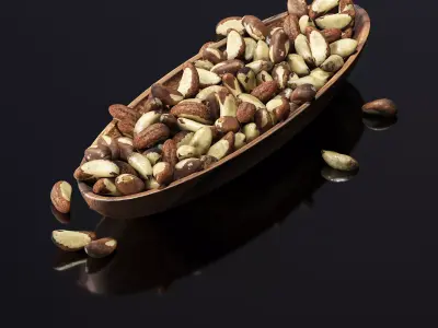 Brazil nuts in a wooden nut bowl Low-poly 3D model