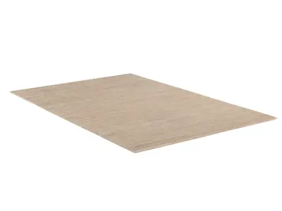 ANNU WOOL RUG Sand 3D model
