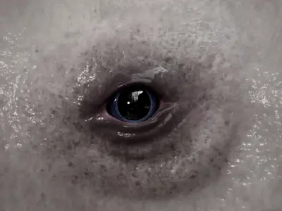  HQ Beluga Whale Mammal 