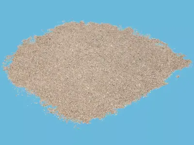 Gravel Patch 3D model