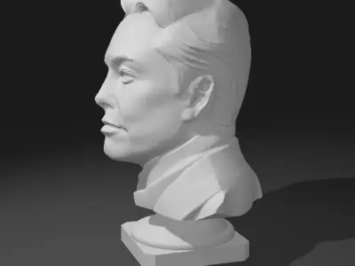 Elon Musk portrait sculture 3D print model