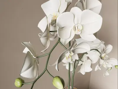 Flower vase 3D model 6