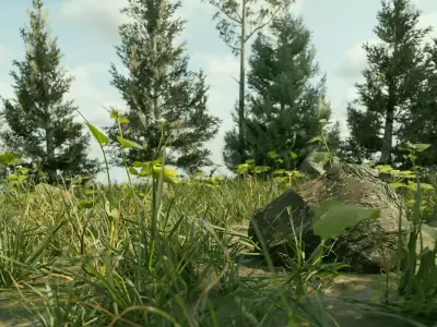 Ultra Realistic FOREST 3D model