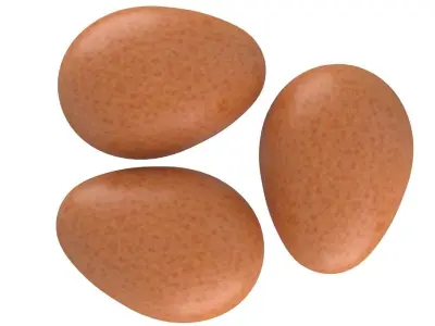 Eggs Brown 3D model