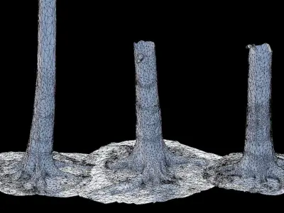 PBR Oak Tree Big Forest Scan Trunk Pack Low-poly 3D model