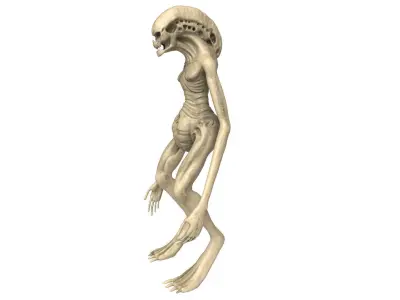 Alien Newborn 3D model