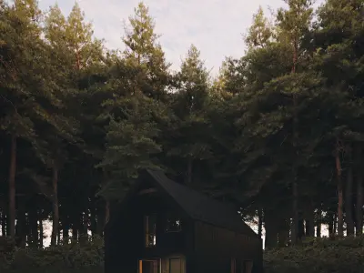 Secluded Forest Cabin 3D model