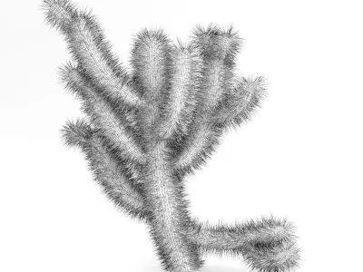 Cholla Cactus 3D model
