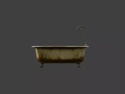 Rustic Repose Bathtub Low-poly 3D model