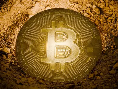 Last Bitcoin Minted Low-poly 3D model