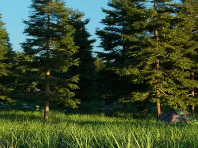 Spring Forest 3D model