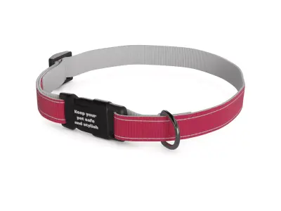 Pet accessories Pet Collar 3D model