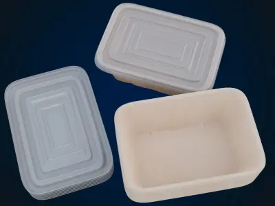 Box Food Cardboard Container - Disposable 3D model