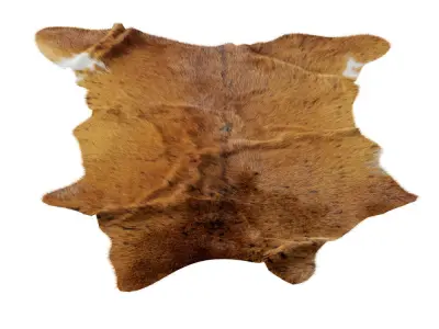 Animal skin rug 17 3D model