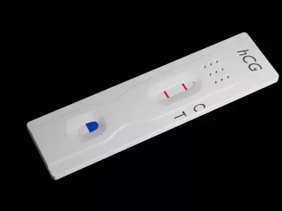 Pregnancy Test Kit Free 3D model