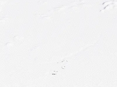 Laibin China City Landscape 3D Model 3D model