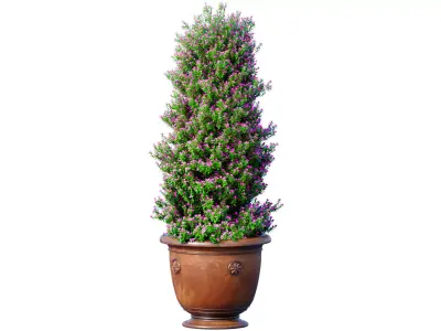 Decorative tree classic garden pot Indoor plant balcony 3D model