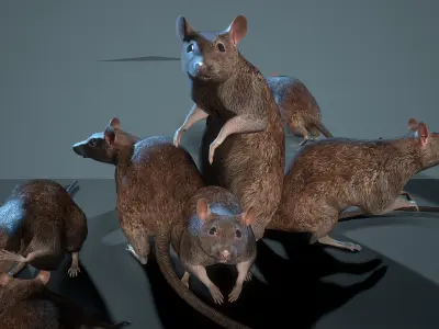  Rat 12-animations Game ready props Low-poly 