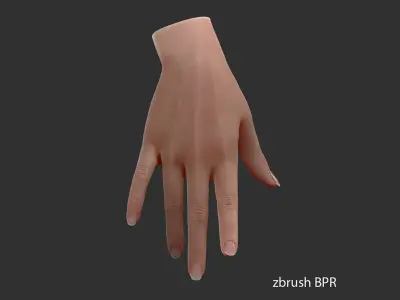  Realistic Female Hand - source file 