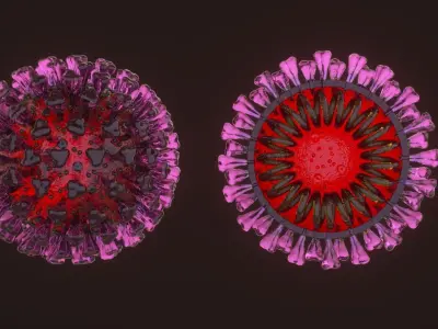 COVID - 19 Coronavirus Free 3D model