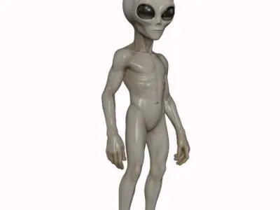 Gray Visitor from Zeta Reticuli 3D print model