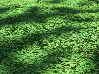 Clover lawn 3D model