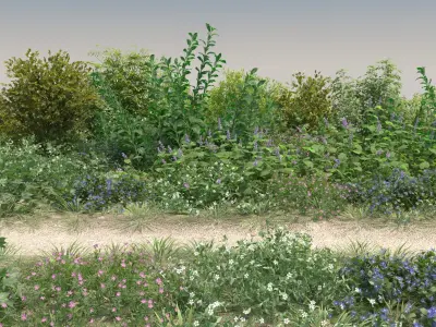  30 Wild Bushes with snow 