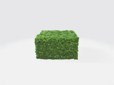 A green cube-shaped hedge bush 3D model