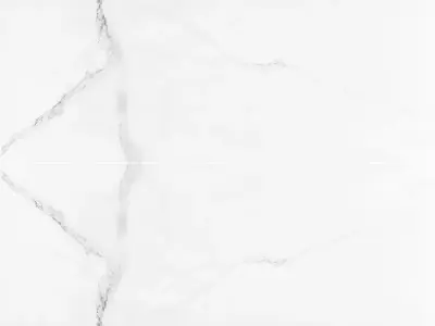 Pure White Marble with Linear Veins  Texture