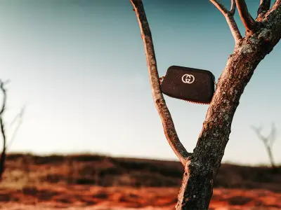 Dead Trees rr 3D model