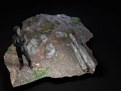 Beech forest ground - 5 of 6 - scan PBR Game ready Low-poly 3D model