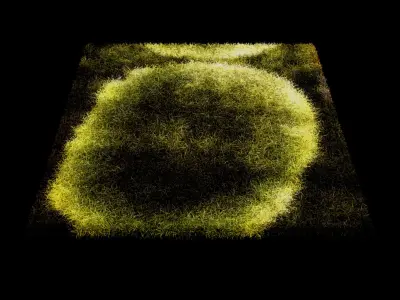 Carpets Vol 1 3D model