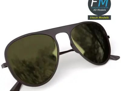 Sunglasses pilot 3D model