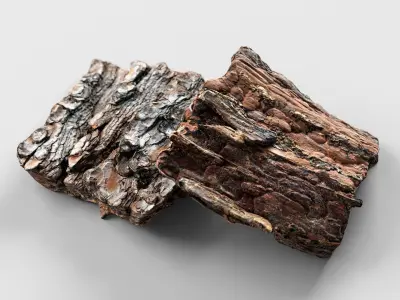 Tree Bark - 3D scan 3D model