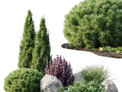 Set of outdoor plants 3D Model Pack