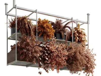 Hanging dry plants - Rectangle pot - indoor plant set 638 3D model