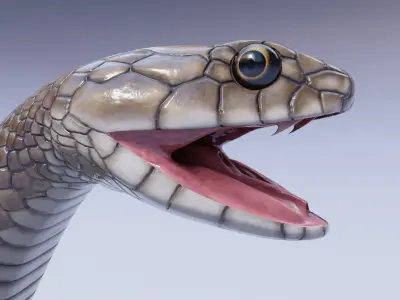  Animated Eastern Brown Snake 