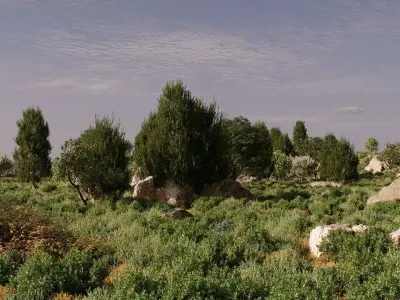 Maquis Shrubland Scatter - Archviz Asset 3D model