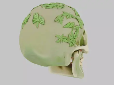 High Quality Detailed Skull 3D Model Low-poly 3D model