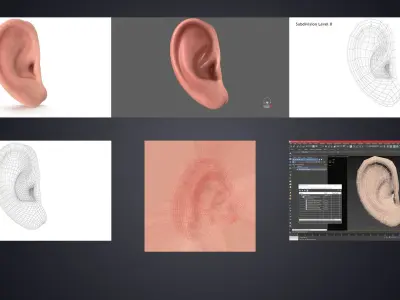  Lips Ears Nose Collection Bundle 